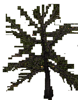 Afflicted Tree