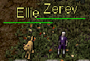 Zerev