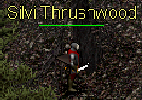 Sivi Thrushwood