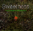 Sweetness