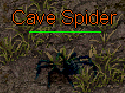 Cave Spider