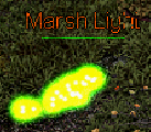 Marsh Light