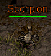 Scorpion