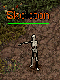 Skeleton