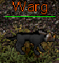 Warg