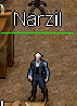 Narzil