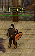 Ursos