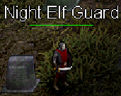 Night Elf Guard