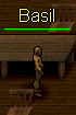 Baisl