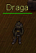 Draga