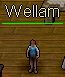 Wellam