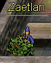 Jeralif