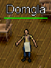 Domgla