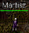 Martisz