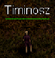 Timinosz