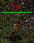 Bat
