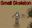 Small Skeleton