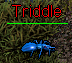 Triddle