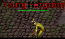 Young qHobgoblin