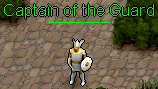 Captain of the Guard