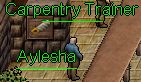 Carpentry Trainer