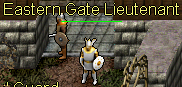Eastern Gate Guard