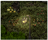 Foraging Spots
