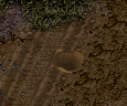 Fresh Soil