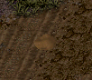 Seed Mound